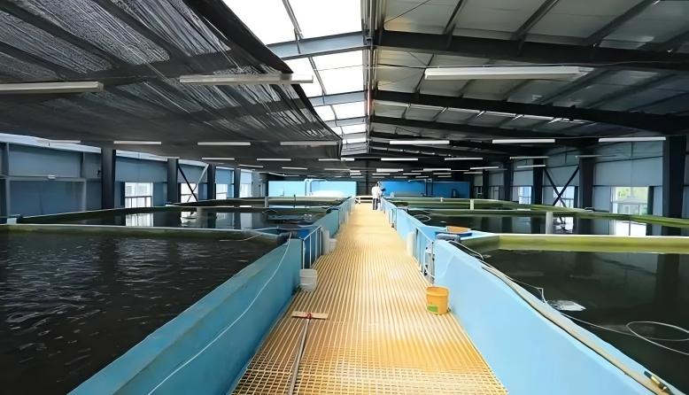 養(yǎng)殖專用耐酸堿環(huán)氧涂料 守護(hù)畜禽舍長(zhǎng)效防腐安全