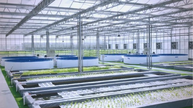 農(nóng)業(yè)設(shè)施防腐涂料 守護(hù)冷鏈倉(cāng)儲(chǔ)金屬設(shè)備長(zhǎng)效耐用