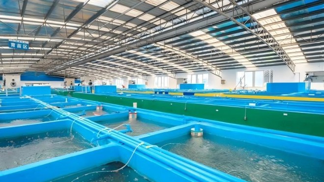 水產(chǎn)養(yǎng)殖用無(wú)毒環(huán)氧涂料 護(hù)航養(yǎng)殖設(shè)施長(zhǎng)效防腐